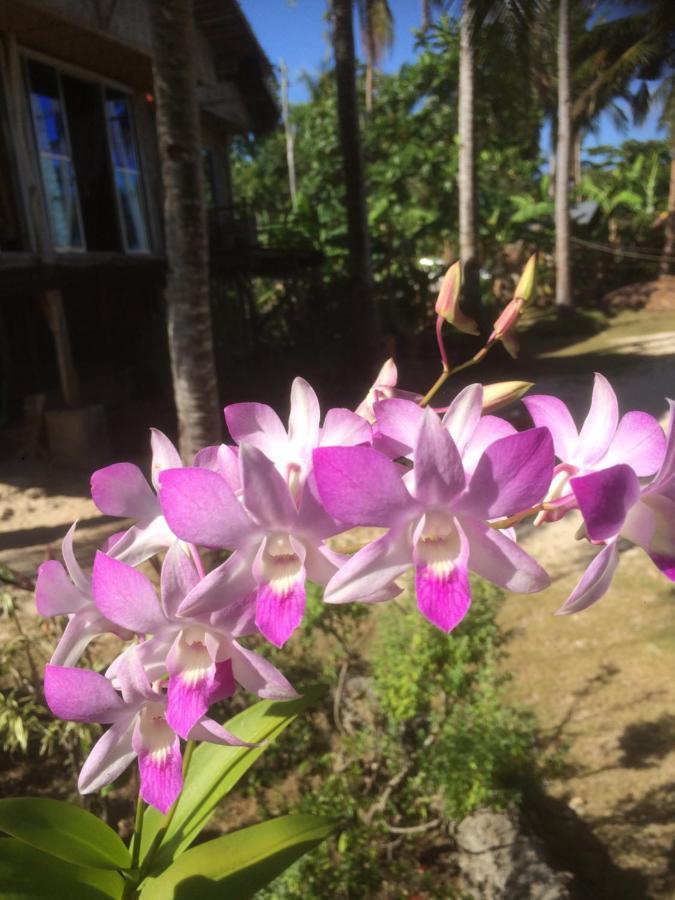 We Call It Rainbow Paradise Hotell Daanbantayan Exteriör bild